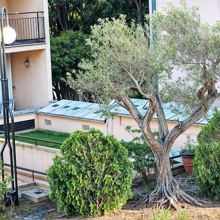 Precioso Apartamento Reformado En 1Ra Linea De Mar Sin Vistas Calella De Palafrugell Oda fotoğraf