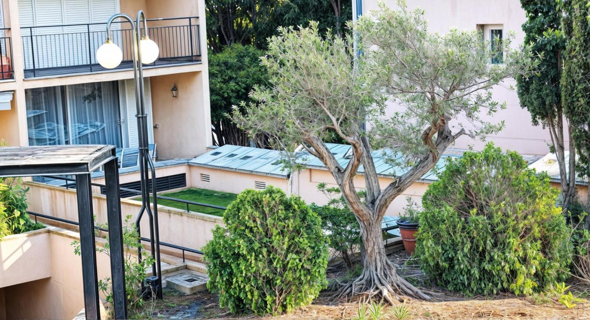 Precioso Apartamento Reformado En 1Ra Linea De Mar Sin Vistas Calella De Palafrugell Oda fotoğraf